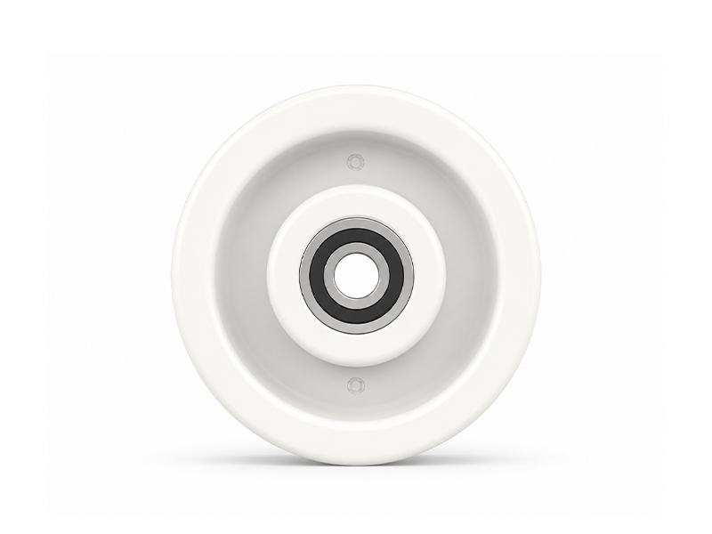 Polyamide-Wheel-100mm-550kg